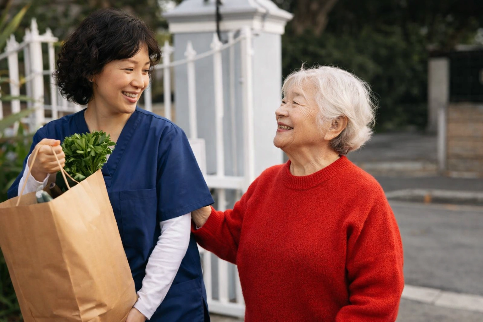 Grocery support for senior in ohio